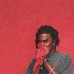 Meet your Posher, Woodsy